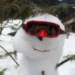 SAM_2751