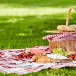 Delicious picnic spread with fresh food